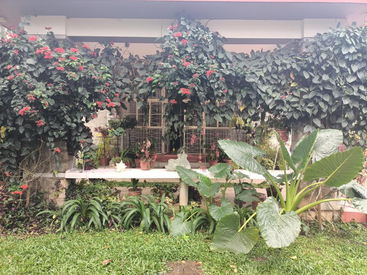 Coorg Kolamotte Hotel Gonikoppal Exterior foto